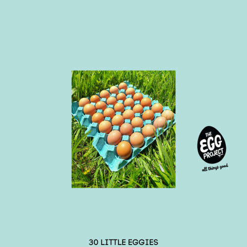 30 Free Range Eggs - SIZE 5